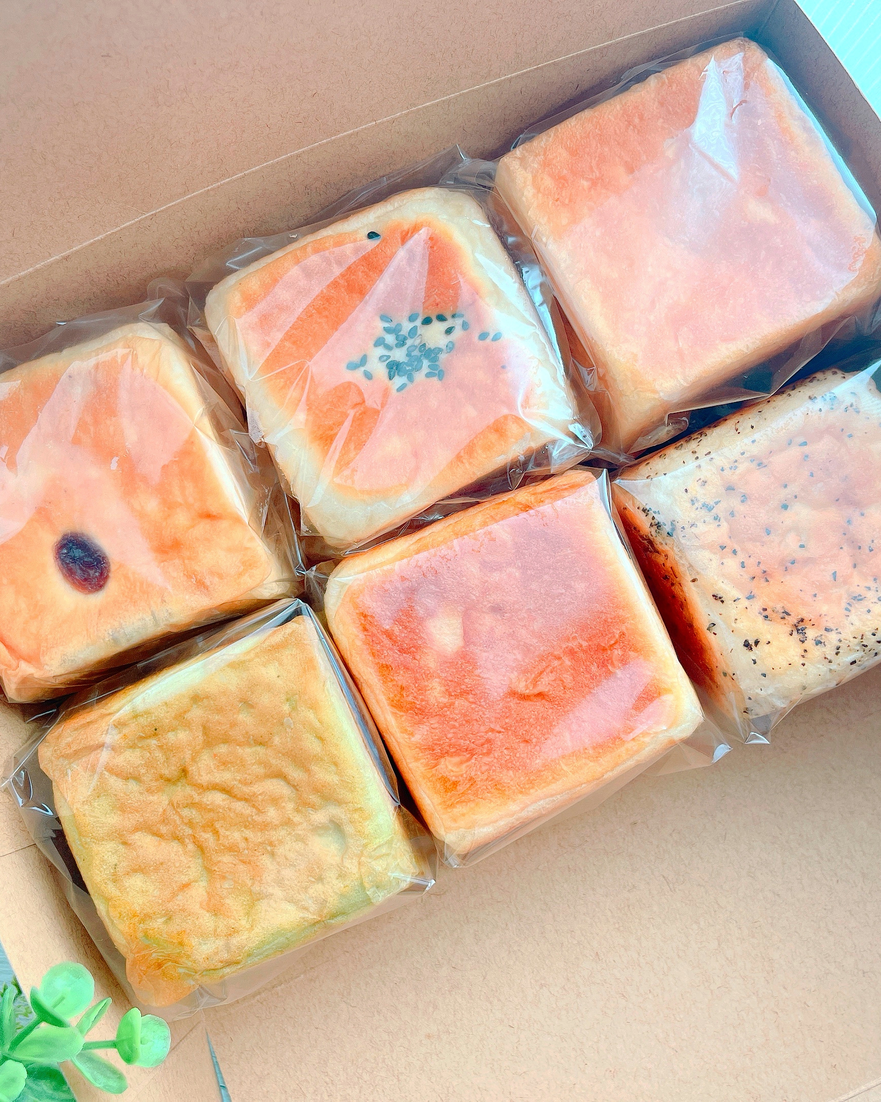 2025_eUeポンポンマム_01