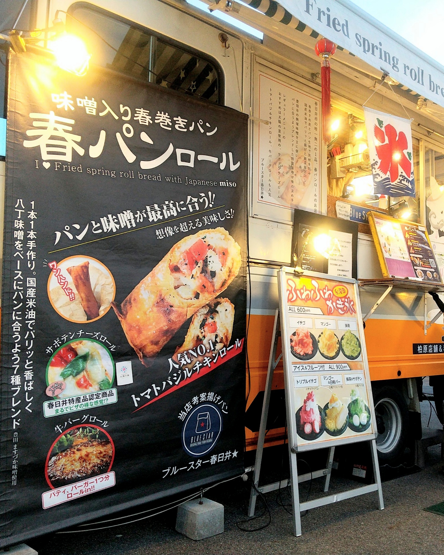 2025_ブルースター★_01