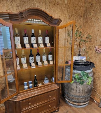 2025_株式会社 船戸電機 春日井ワイナリー 春の風_01