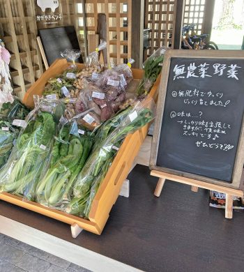 2025_自然農園そらみず_01